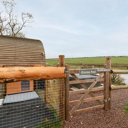 Goose Pod Villa Worcester Exteriör bild